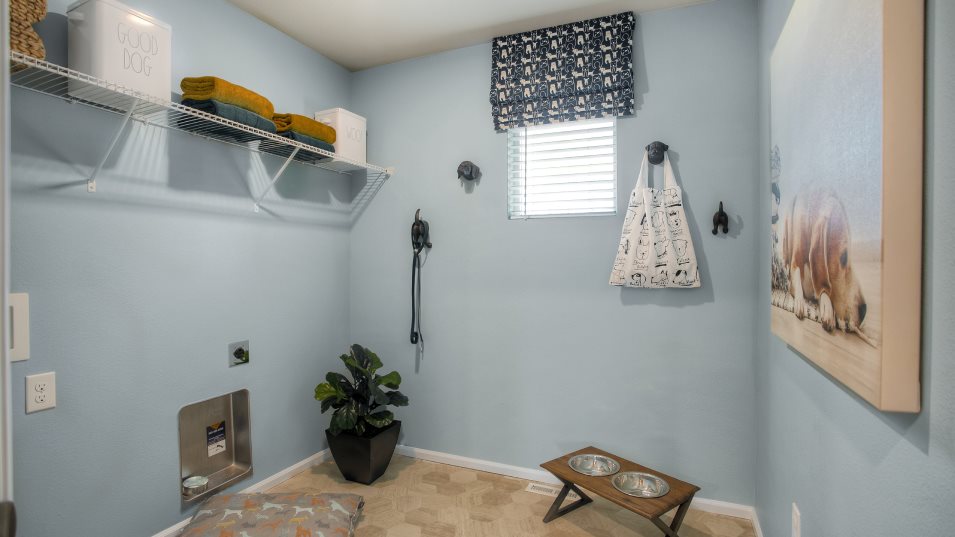 Merlot laundry room