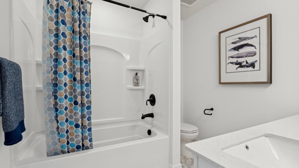 Springfield Bathroom 2