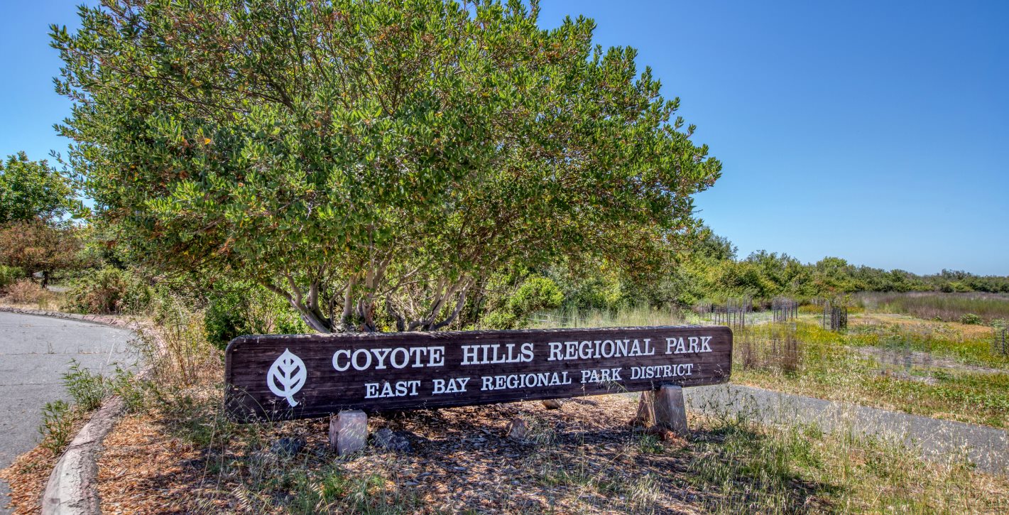 Coyote Hills Regional Park