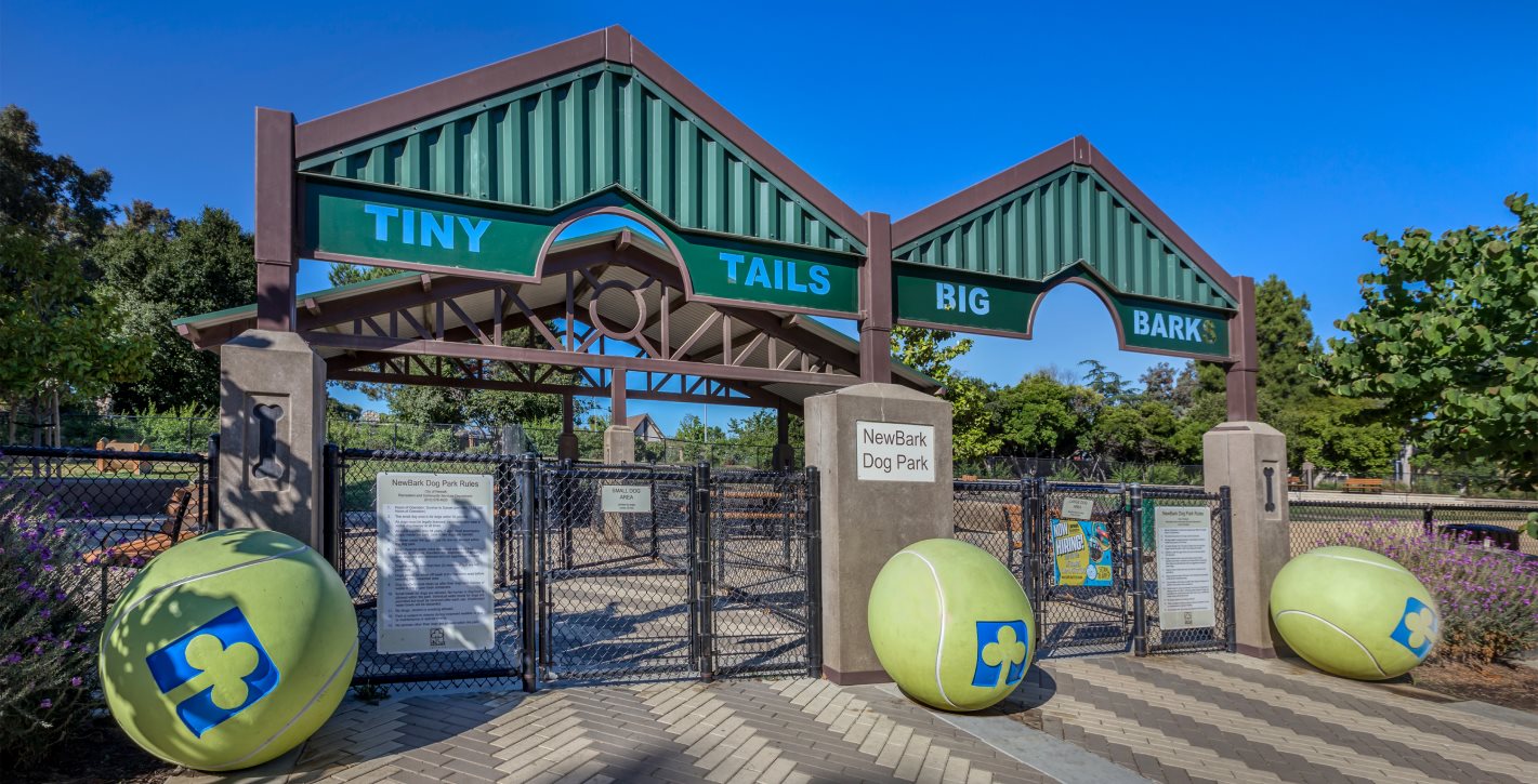 dog park