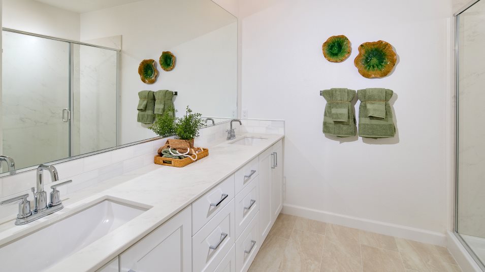 Owner's Suite with Dual Sinks