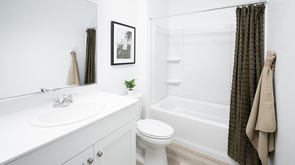 Skylark Northpoint James Bath3 F1