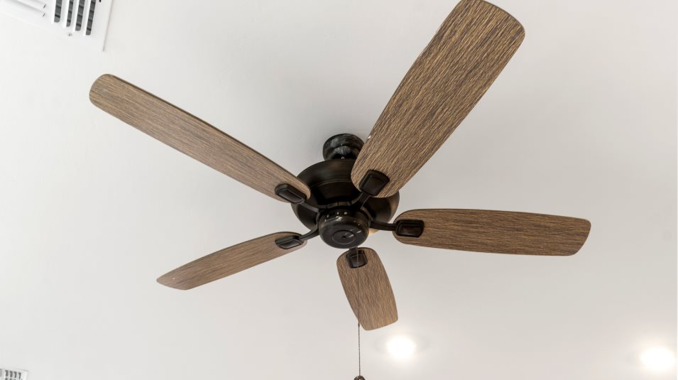Ceiling fan feature