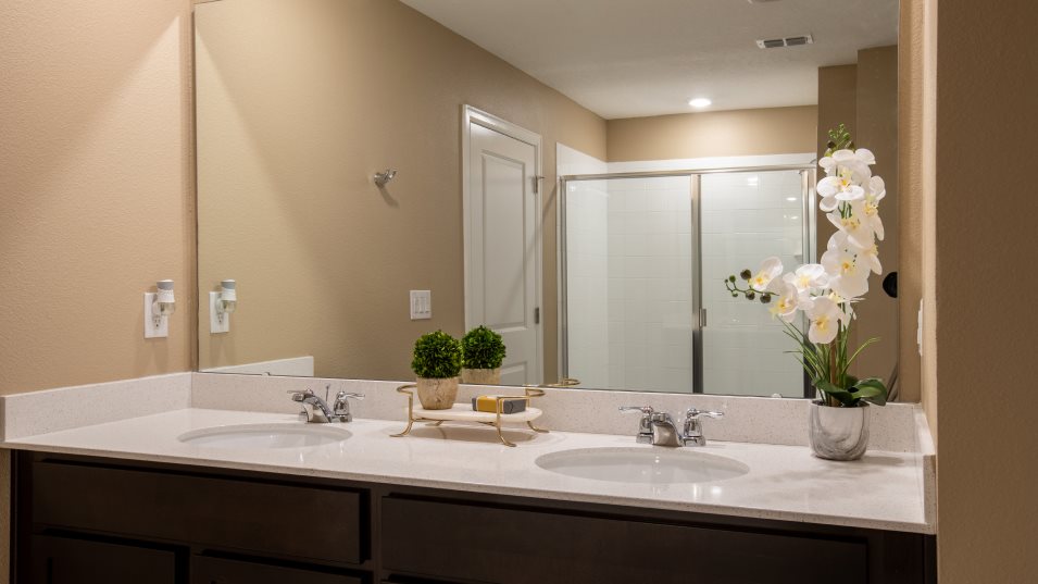 Hartford owner's bathroom