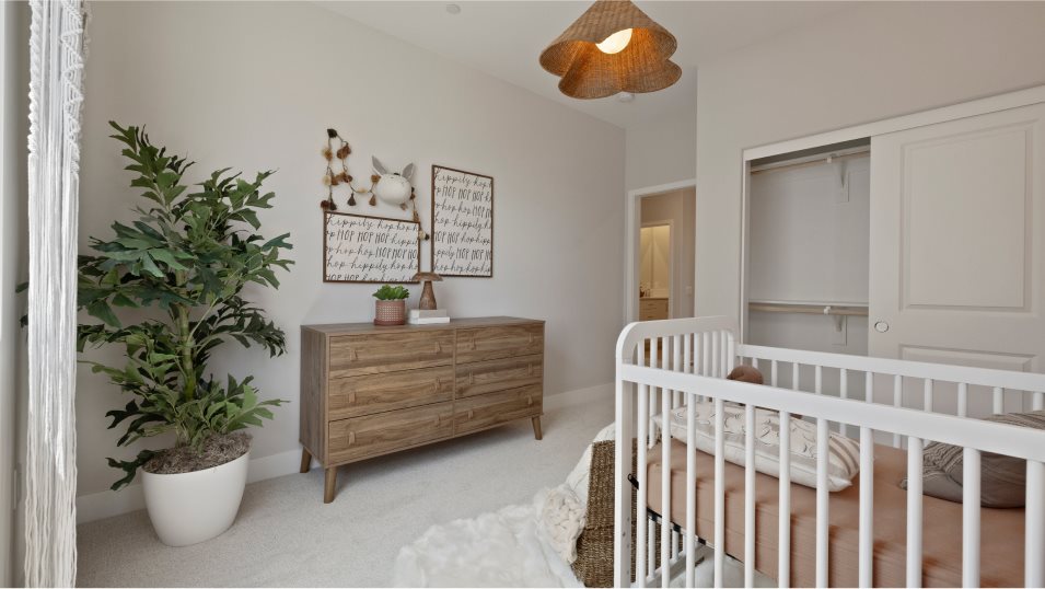 Portia 3 Bedroom 3
