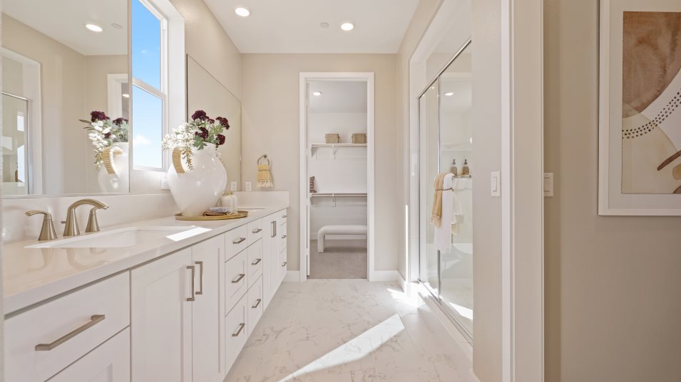 Residence 1X owners bathroom