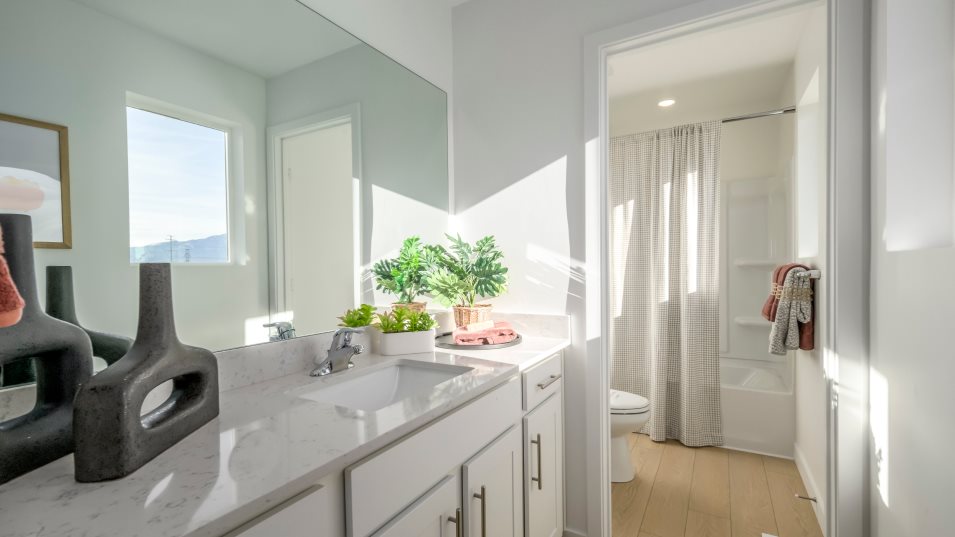 Pinnacle Bathroom 2