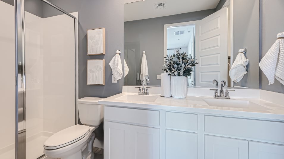 Tanager owners suite bathroom interior