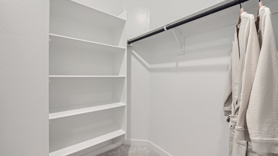 Tanager owners walk in closet interior
