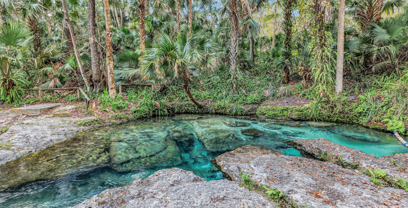 Apopka Kelly Park 2of2 03 06 24