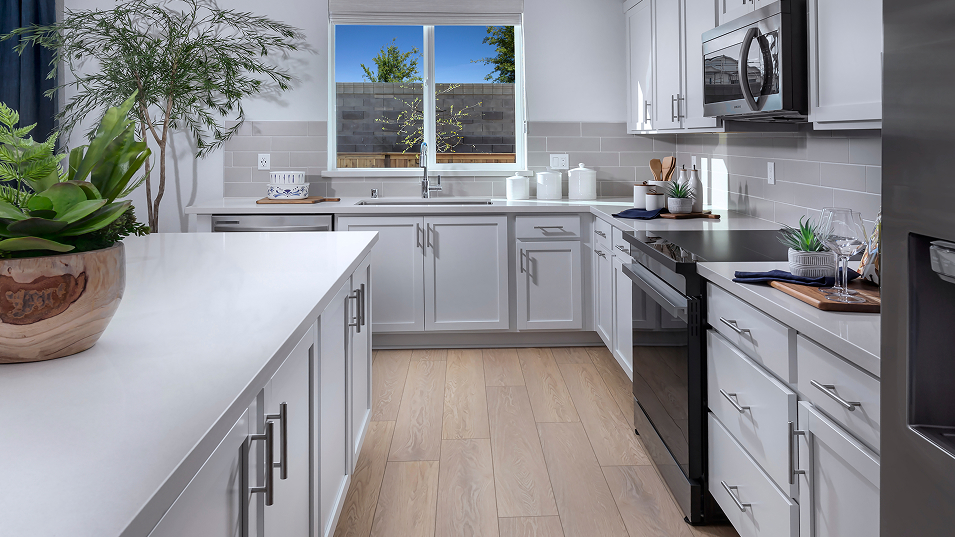 Lugano Lakeshore Res4 Kitchen 2of2 F1 041425