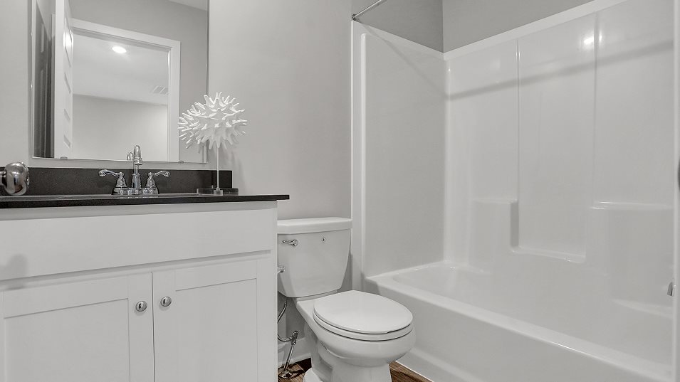 Roxbury Bathroom 2