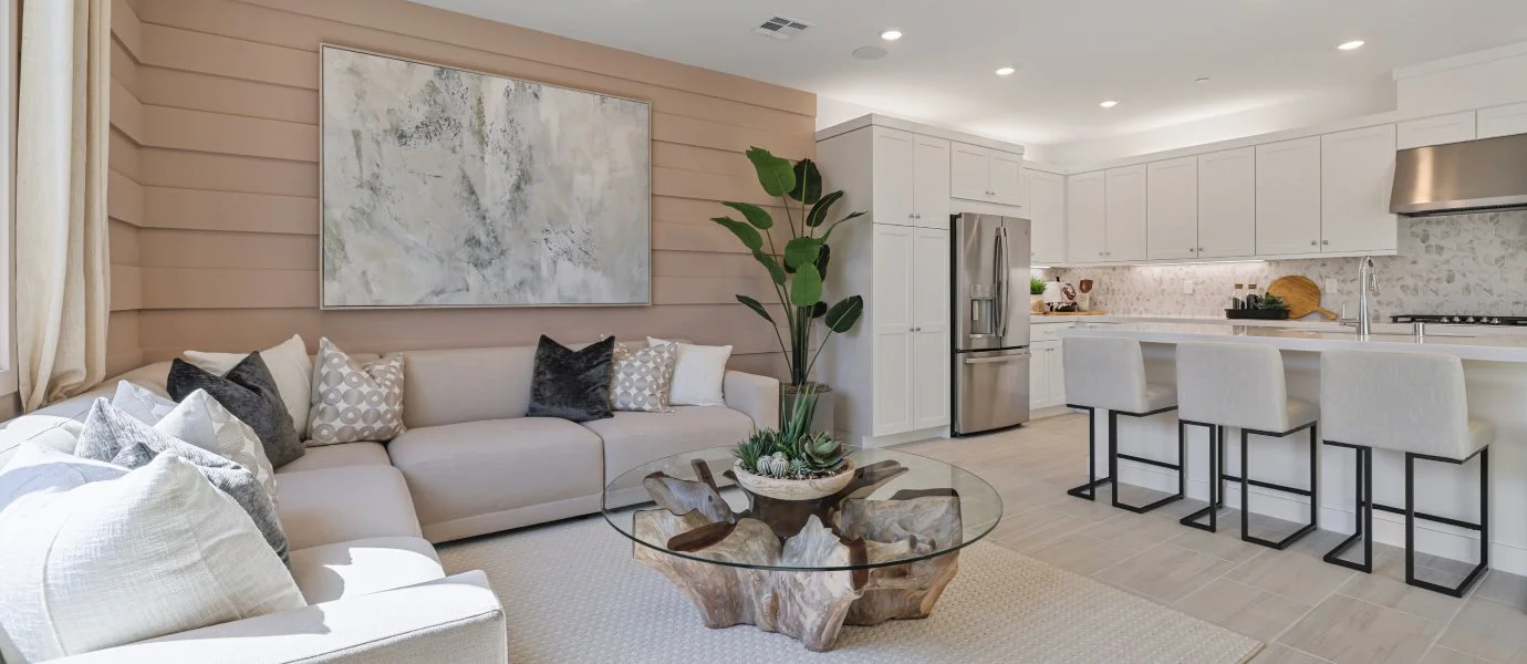 Olive 3 Living Room and Kitchen