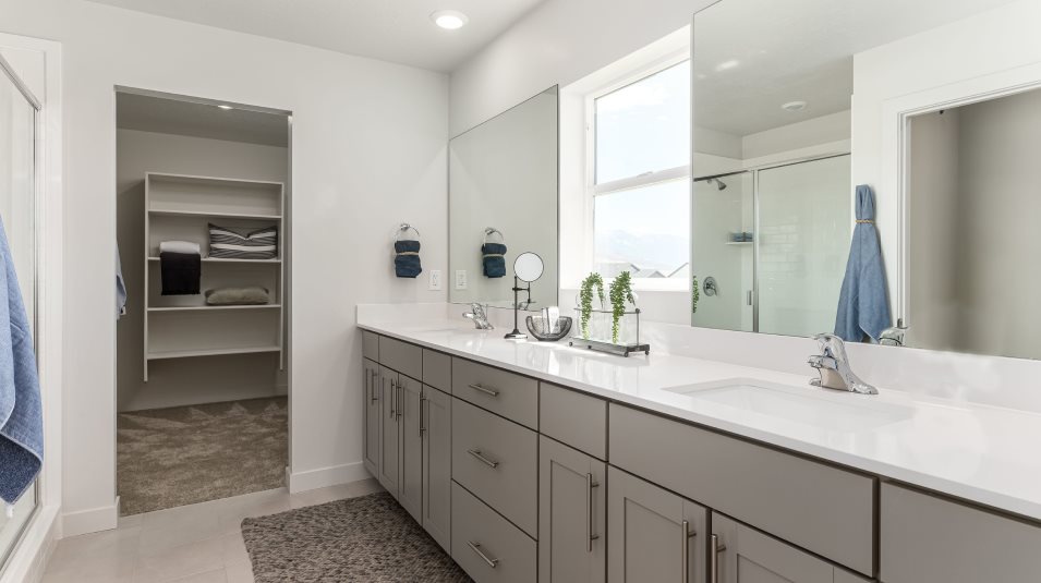 Owner's bathroom dual sink