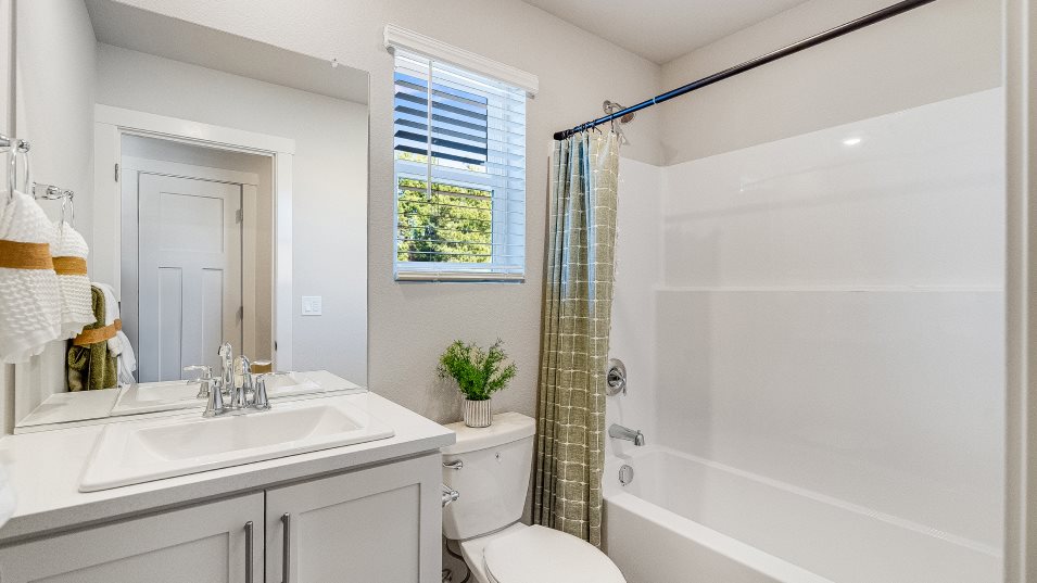 Orion Bath2