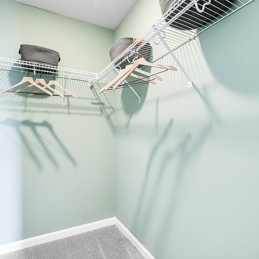 Princeton Owners Walk in Closet