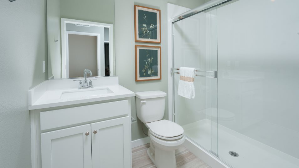 Residence 2528 Next Gen Suite