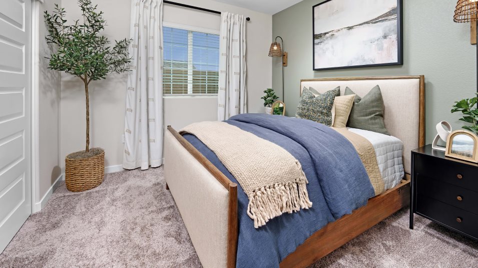 Residence 2528 Next Gen Suite