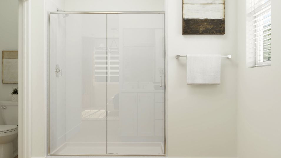 Owner's Bathroom