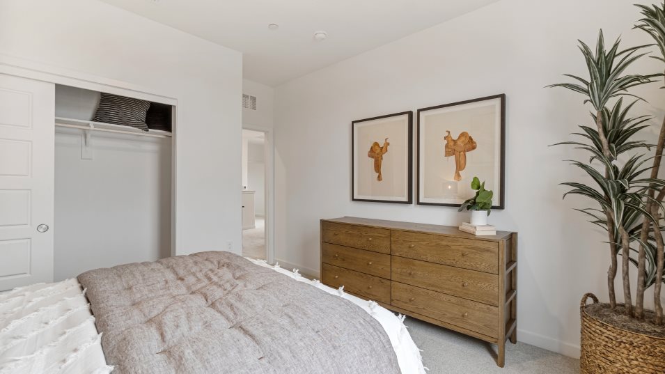 Draco Bedroom 2