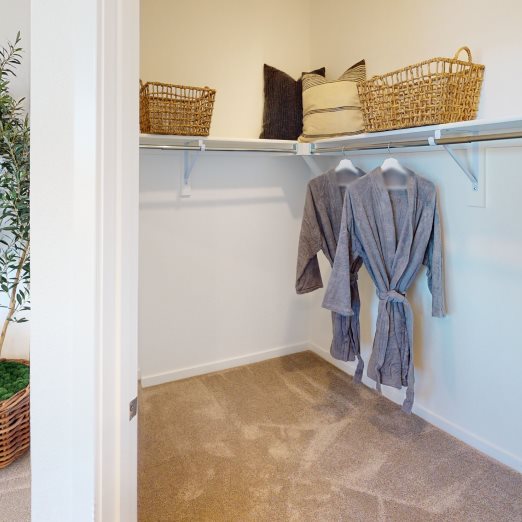 Plan 301 owners walk in closet