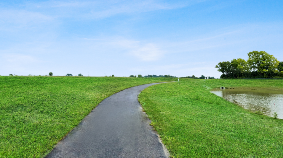 Trail