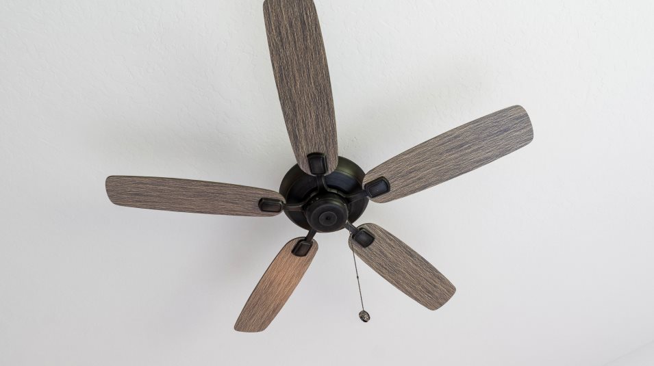 Ceiling fan in the Great Room and owner’s suite