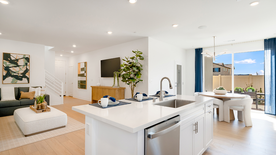 061325 Aviator Renaissance Res1 Kitchen 1of4 F1