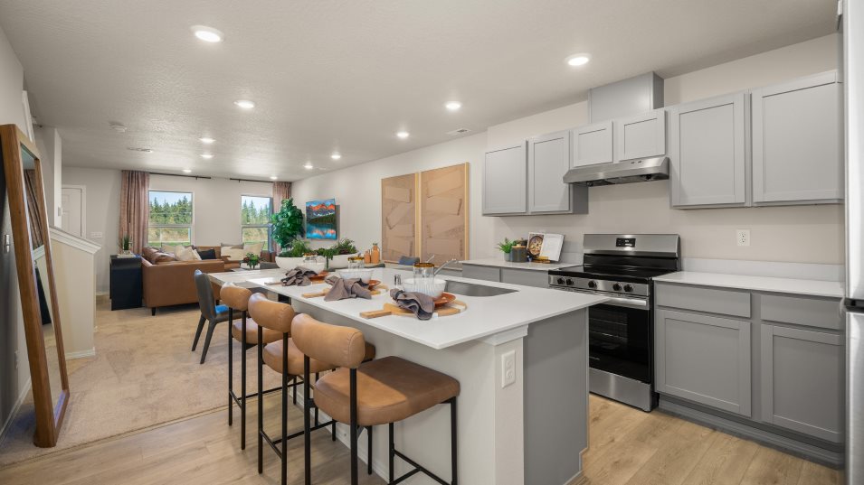 Aldrin Kitchen