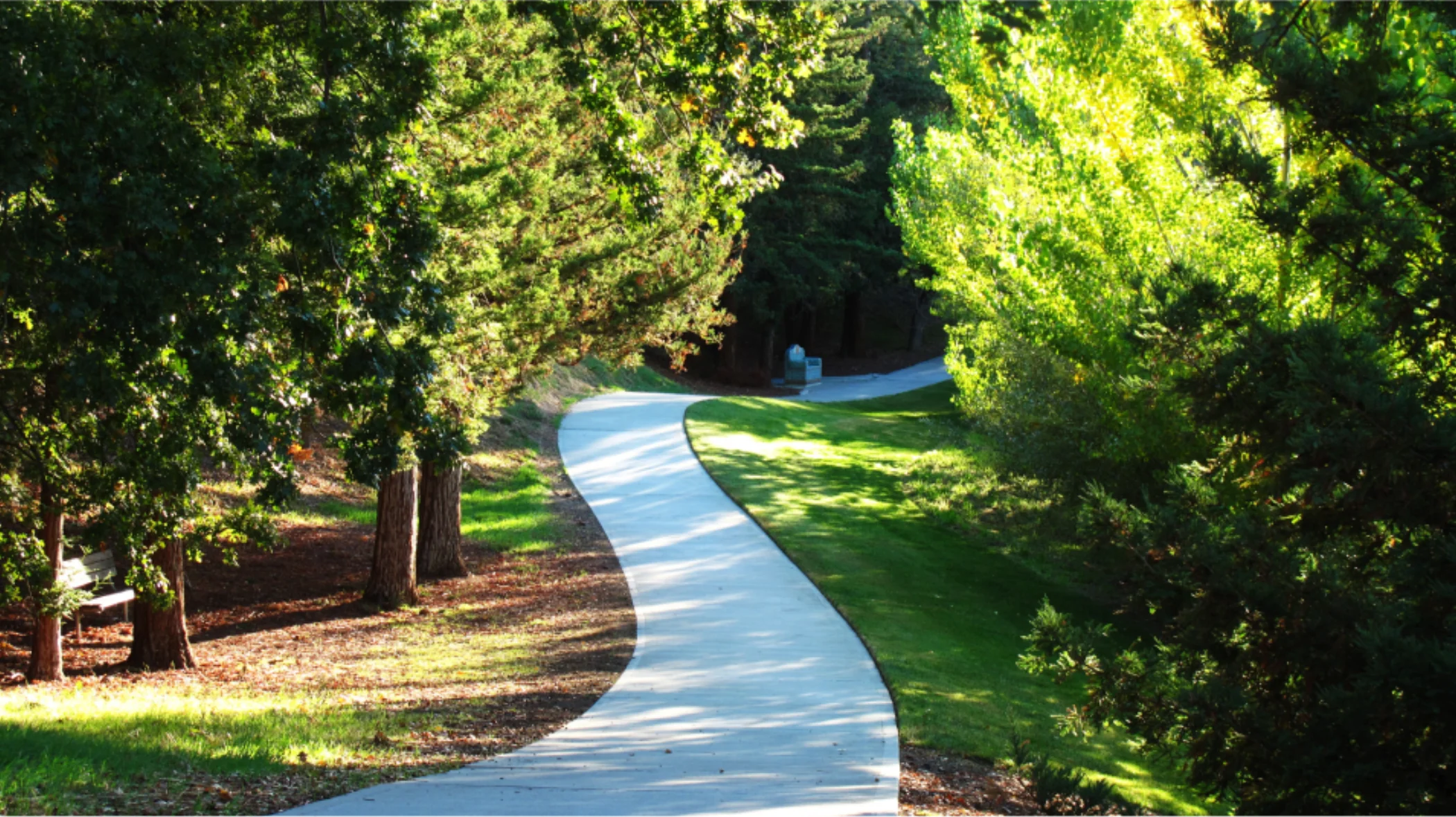 Hiking Trail