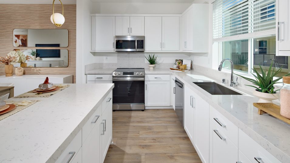 Residence 6 Kitchen