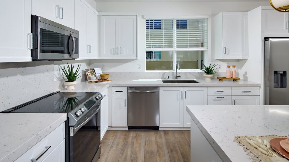 Residence 6 Kitchen
