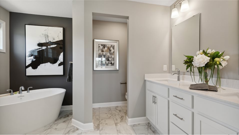 Snelling Owners Bathroom
