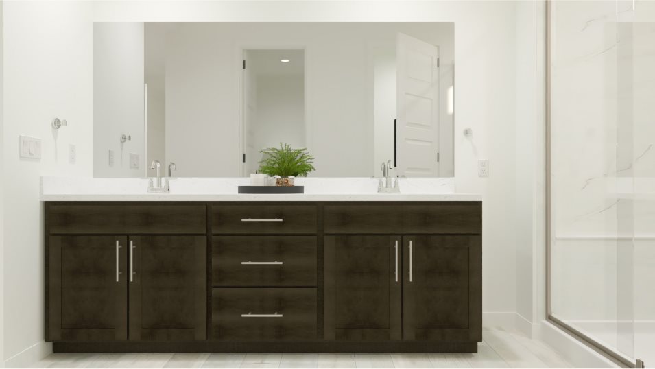 Owner's en suite bathroom sinks