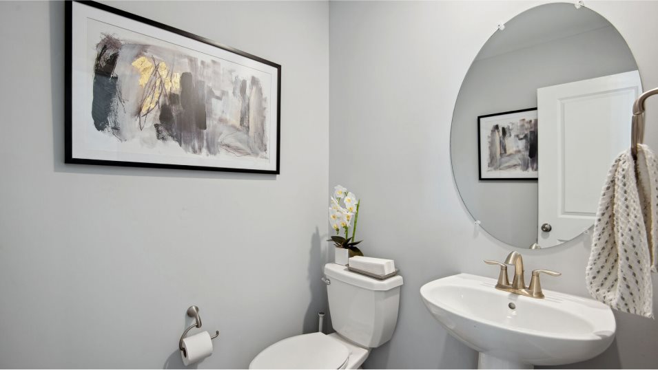 Columbia Basement Powder Room
