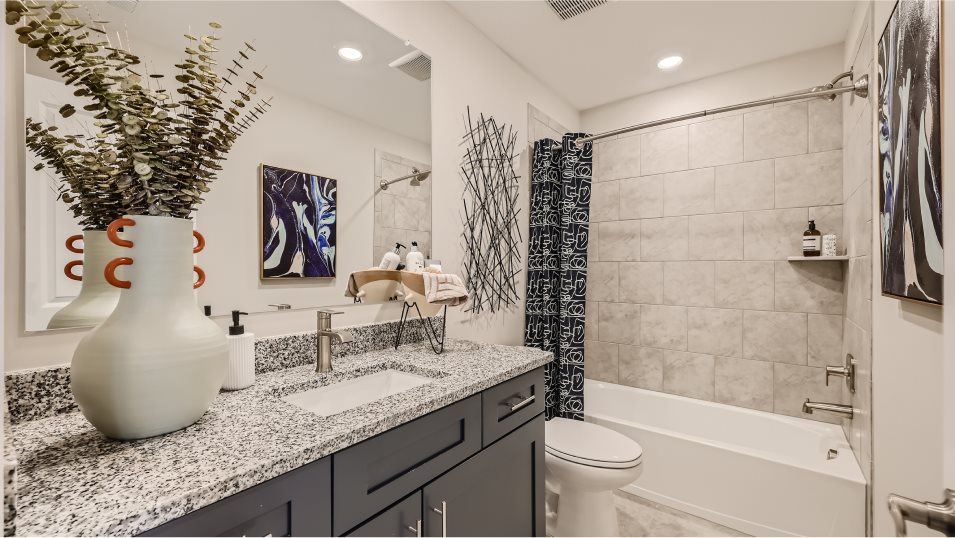 Ellicott Bathroom 2