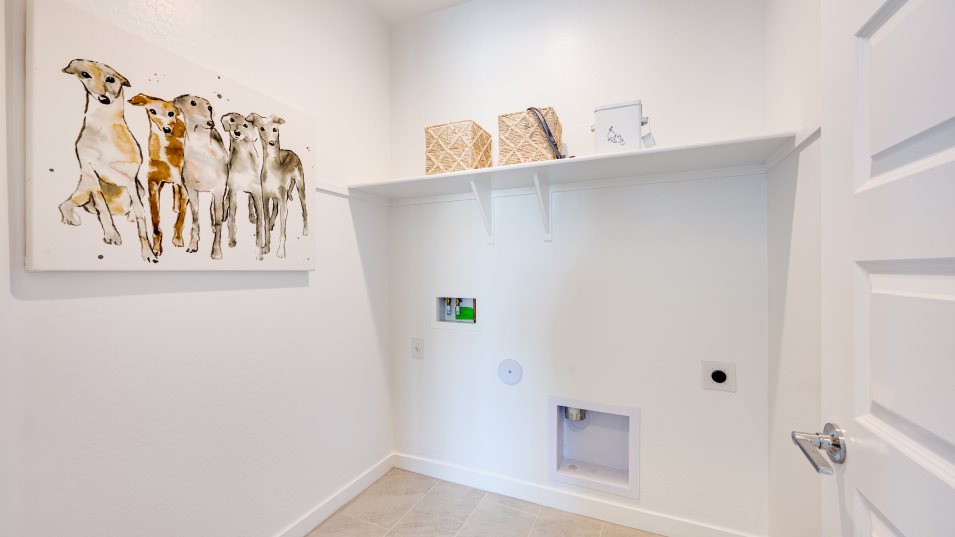 Sage Laundry Room