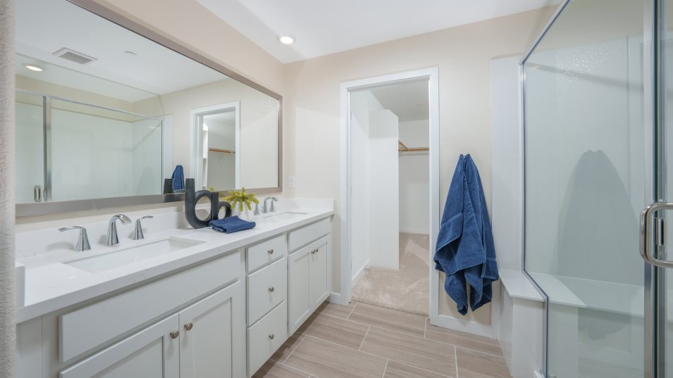 Owner's Bath