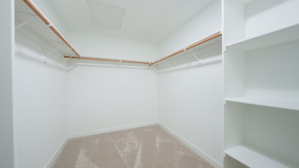 Owner's Walk-In Closet