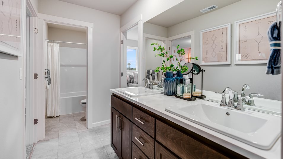 Ashland Bathroom 2