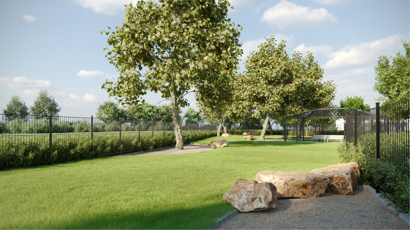 Cortona dog park