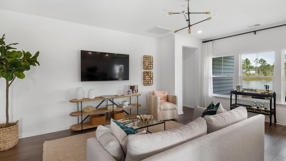 Litchfield family room