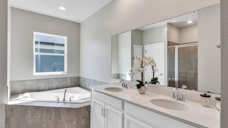 Delray owner's suite bathroom