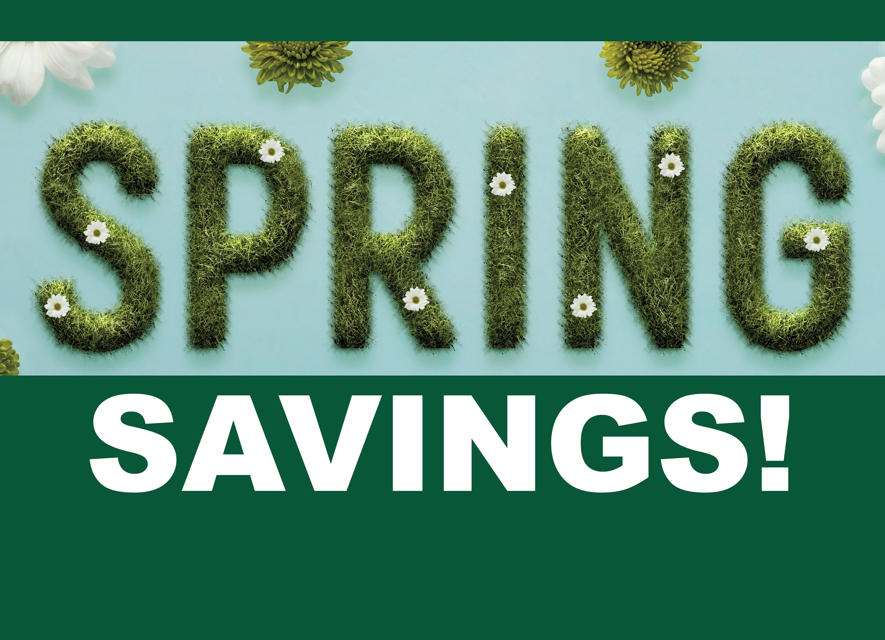 Spring Savings!