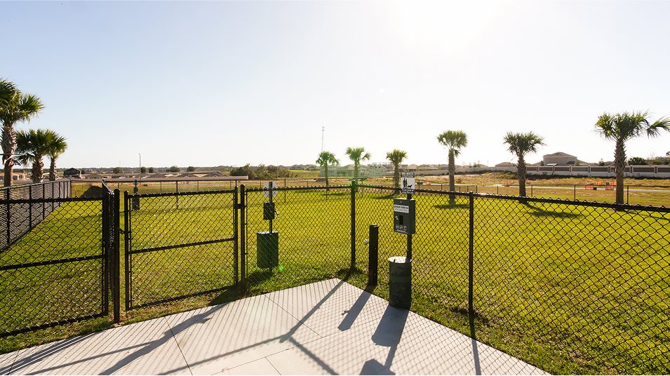 Dog Park