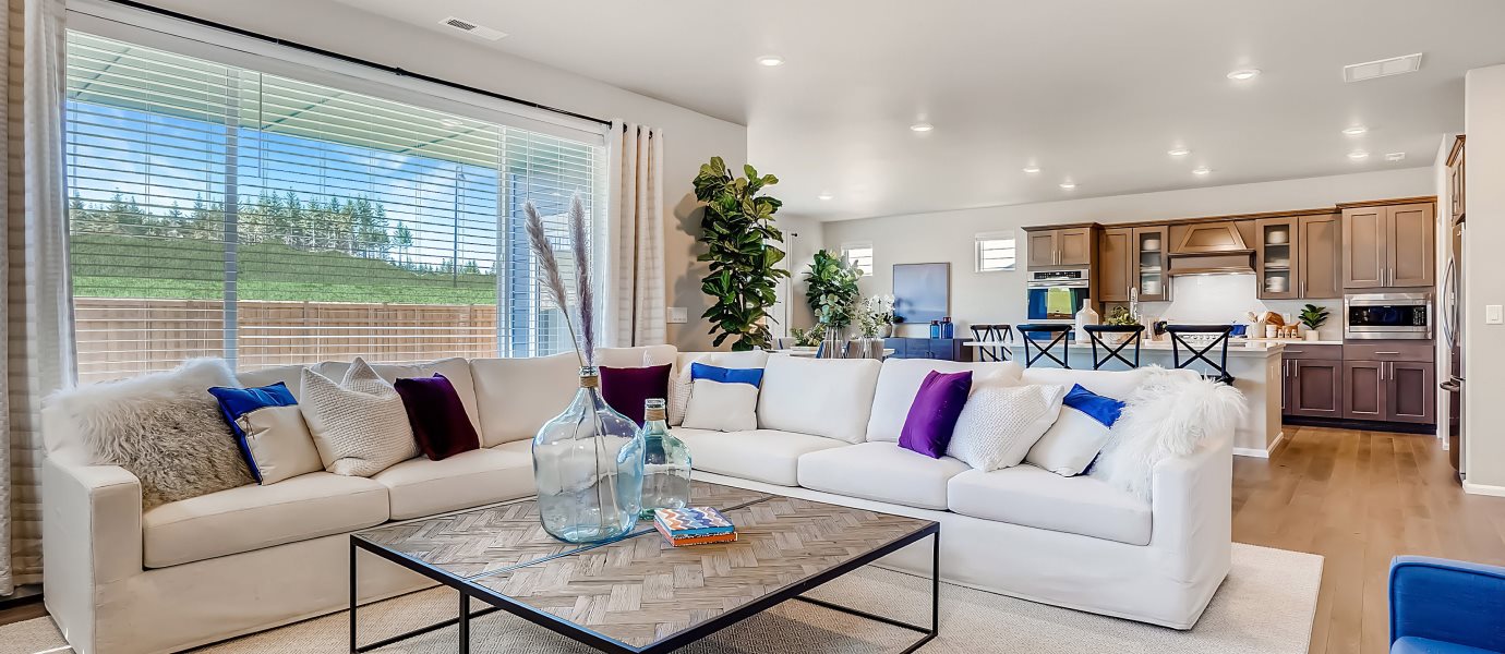 Furnished great room