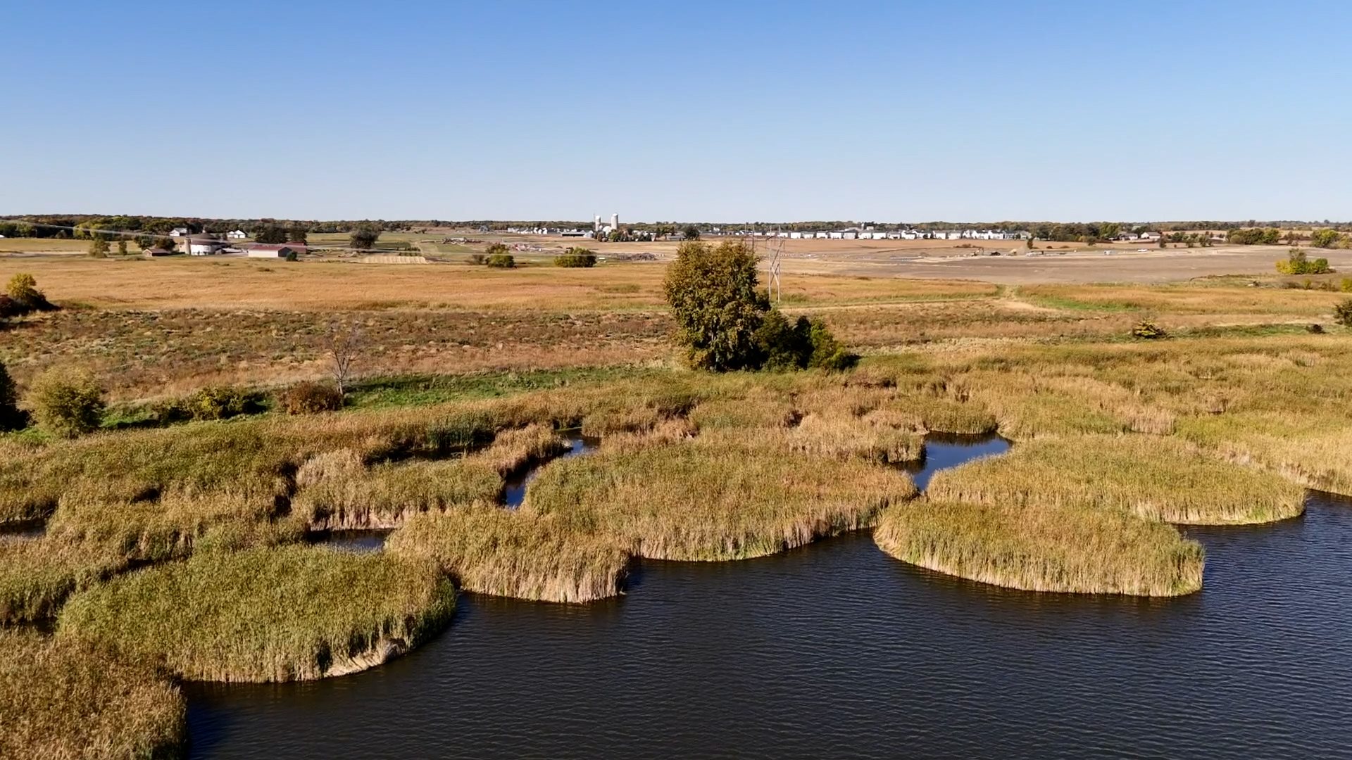 Gonz Lake Community