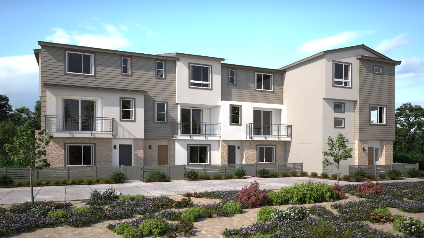 Clementine 5-Plex A