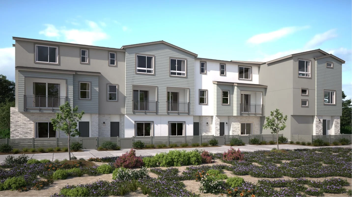 Clementine 6-Plex B