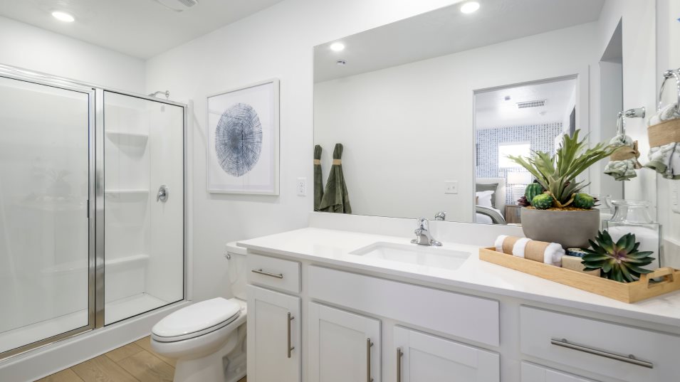 Owner’s Bath
